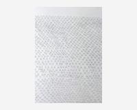 À la frontière (1)  /  To the frontier (1)   2016  dessin découpé épinglé en avant du mur, crayon graphite sur Tyvek, 220 x 240cm (detail)    /  cut out drawing pinned over the wall, graphite pencil on Tyvek, 220 x 240cm (detail) 