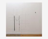 "Tendre et pendre (un dessin pour tenir quelque chose éventuellement)" - "Stretching and hanging (a drawing to hold something eventually)" 2025, cutout drawing pinned to the wall - Indian ink, graphite pencil on Tyvek, 18 pins - 180 x 150 cm