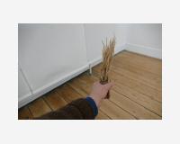 "Le manche comme resultant du fait d'avoir pris" - "The handle as a result of having taken", 2020-2025 - grass, clay 5 x 5 x 20 cm