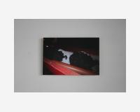 Vache  2013 - impression photographique encollée sur aluminium - 25x35cm                           Caw  2013 Photograph - size: 25x35cm  