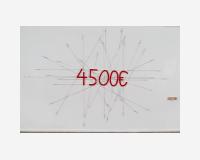 "4.500€" - une oeuvre qui serait strictement l'affichage de son prix - prix fixé, aucune plus-value possible sur revente - Dessin découpé et épinglé en avant du mur, peinture émaillée et crayon sur Tyvek, 250 x 250cm